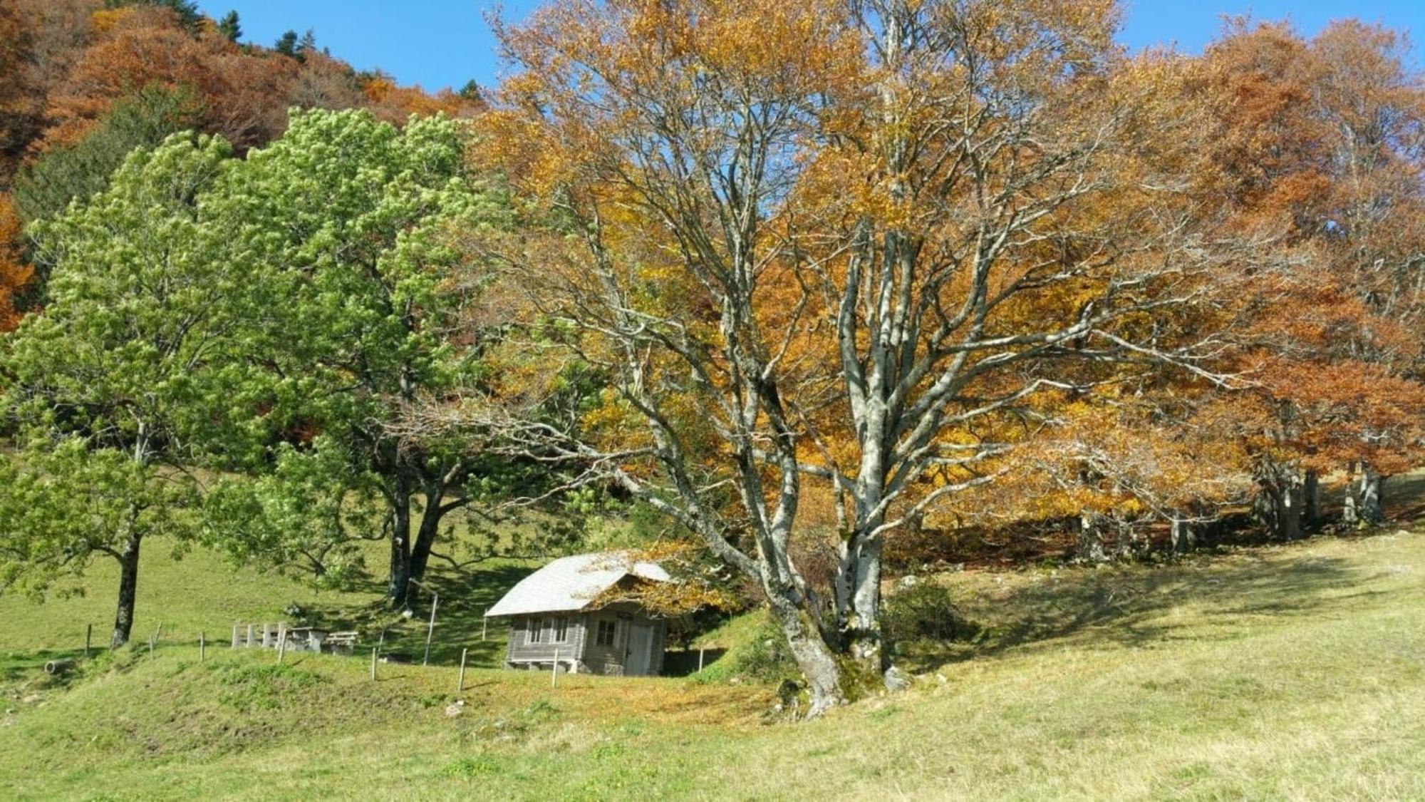 דירות Schonenberg Haus Foehrenbach מראה חיצוני תמונה